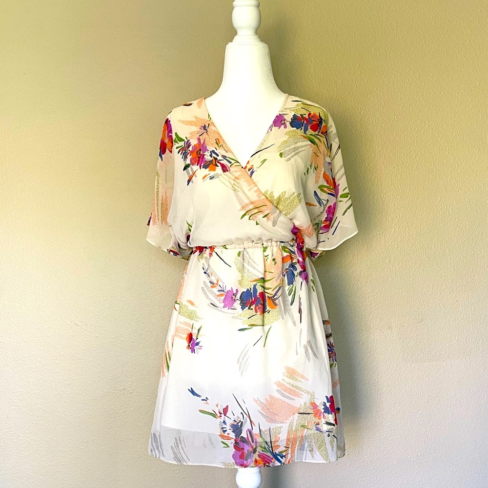 Shear Floral/Cream Dress